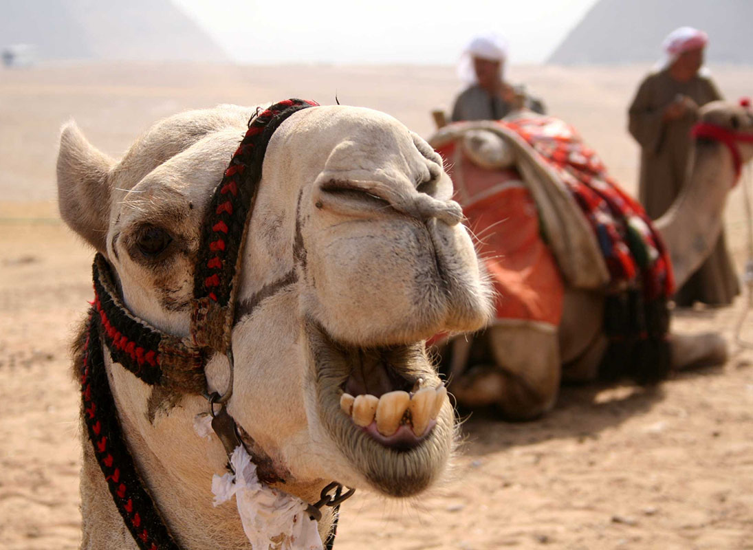 Egitto. Turismo in ripresa, nonostante tutto