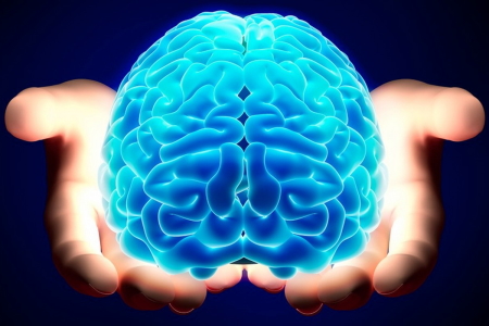 Illustrazione del cervello umano