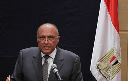 Sameh Shoukry, Ministro degli Affari Esteri in Egitto