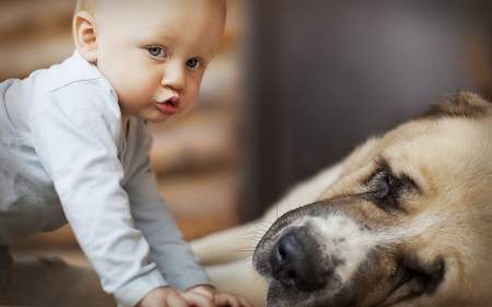 cani e bambini, un rapporto importante